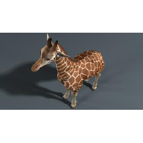 Giraffe (Fur) model